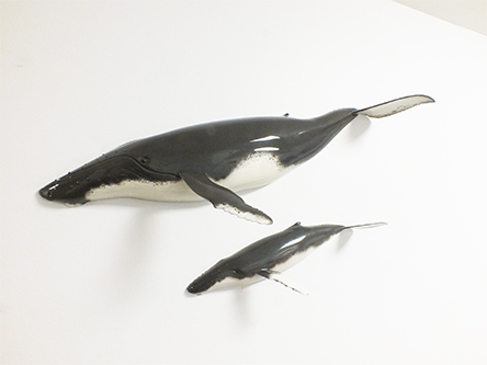 Glen Tinkler  Humpbacks