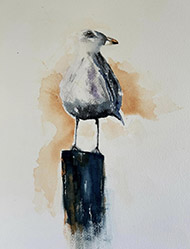 Mary Saulnier Seagull