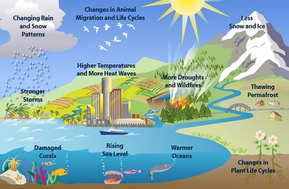 Effects of Climate Change