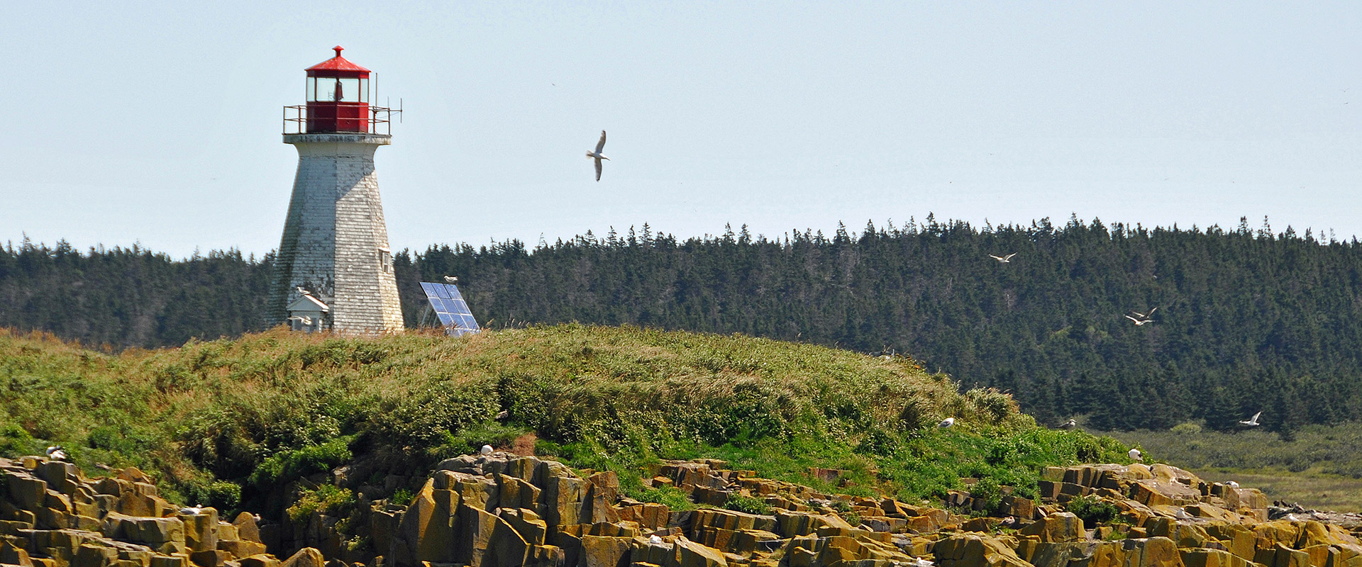 Peters Island Lighhouse by Karly Kelly