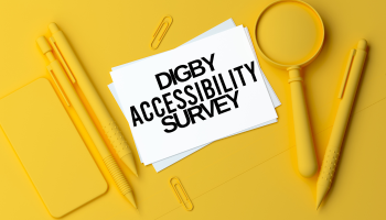 Digby Accessibility Survey
