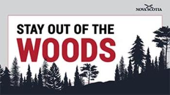 Provincial Wide Trail and Forest Ban