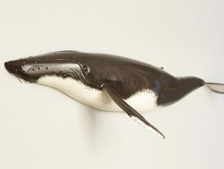 Digby Art Bank 2026 Selection